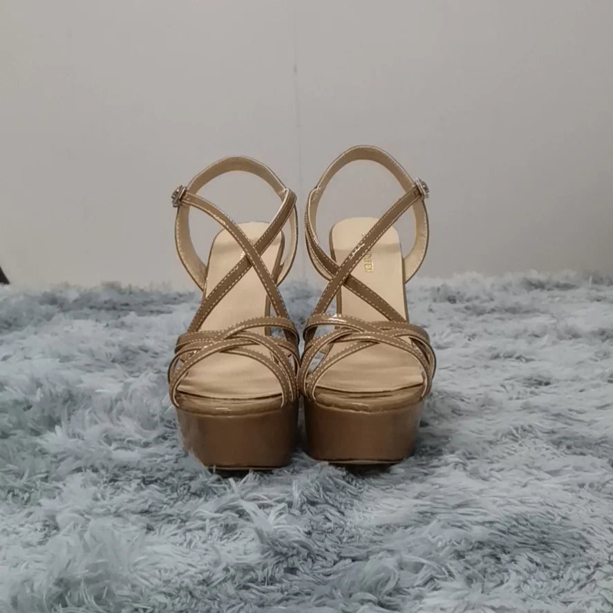 14CM Platform High Heels Sandals