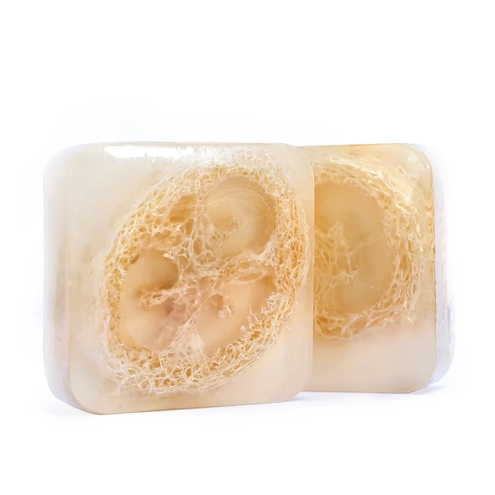 loofah Coconut Essential Oil Soap
