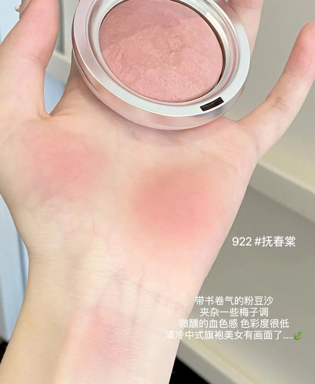 SPENNY Baking Blusher Matte Soft Mist Powder Large Capacity Shrink & Expand Color Naturally Brightening Highlight Cheek 6.2g
