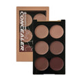 6-Color Waterproof Concealer, Matte High Coverage, Oil Control, Acne Scar And Black Circle Cosmetics Foundation